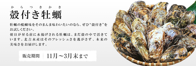 殻付き牡蠣