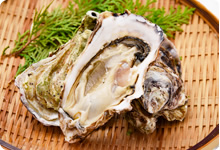 「袋ノ内牡蠣」の栄養素