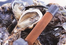 北吉水産で生産する牡蠣の安全情報を公開しております。